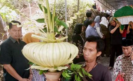 There is a gagar mayang at the funeral of single men